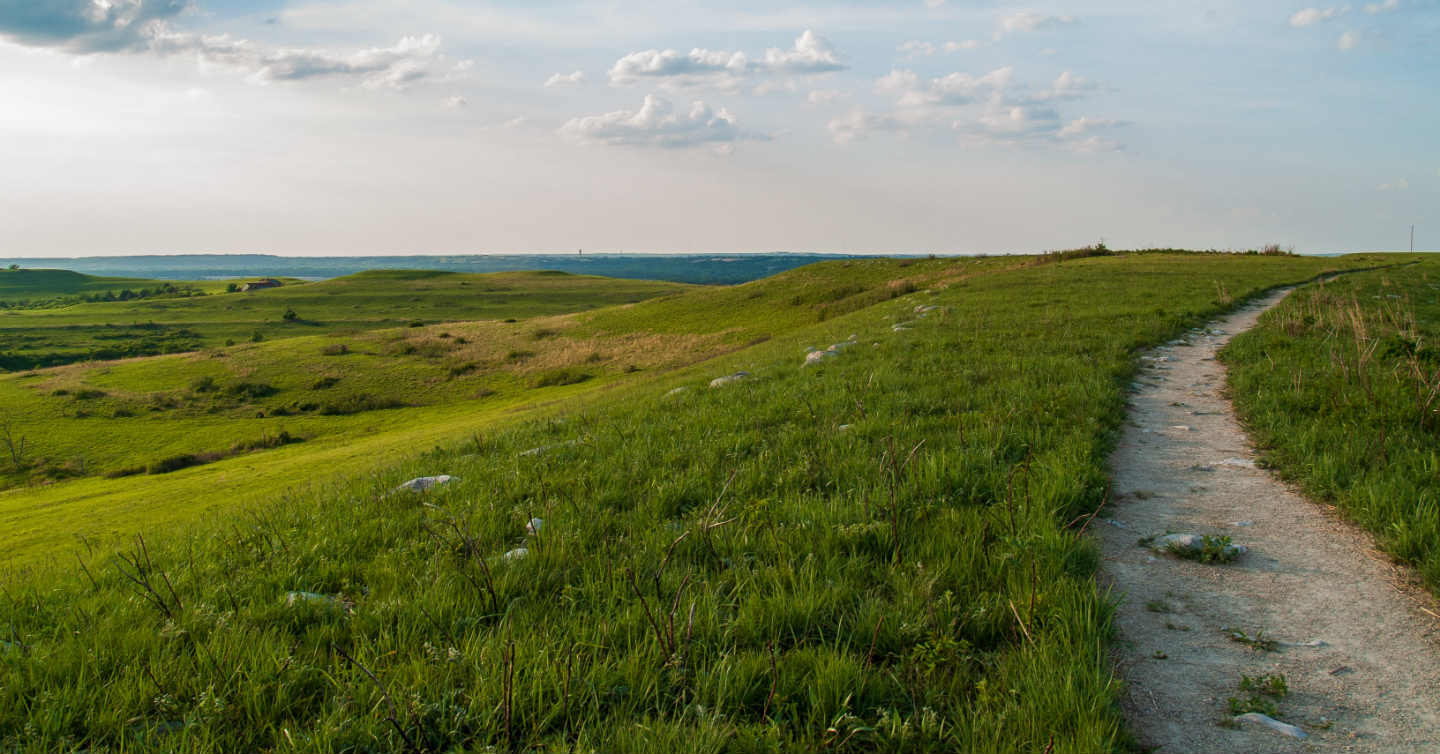 Wisconsin prairie free from allergies because of nasal spray