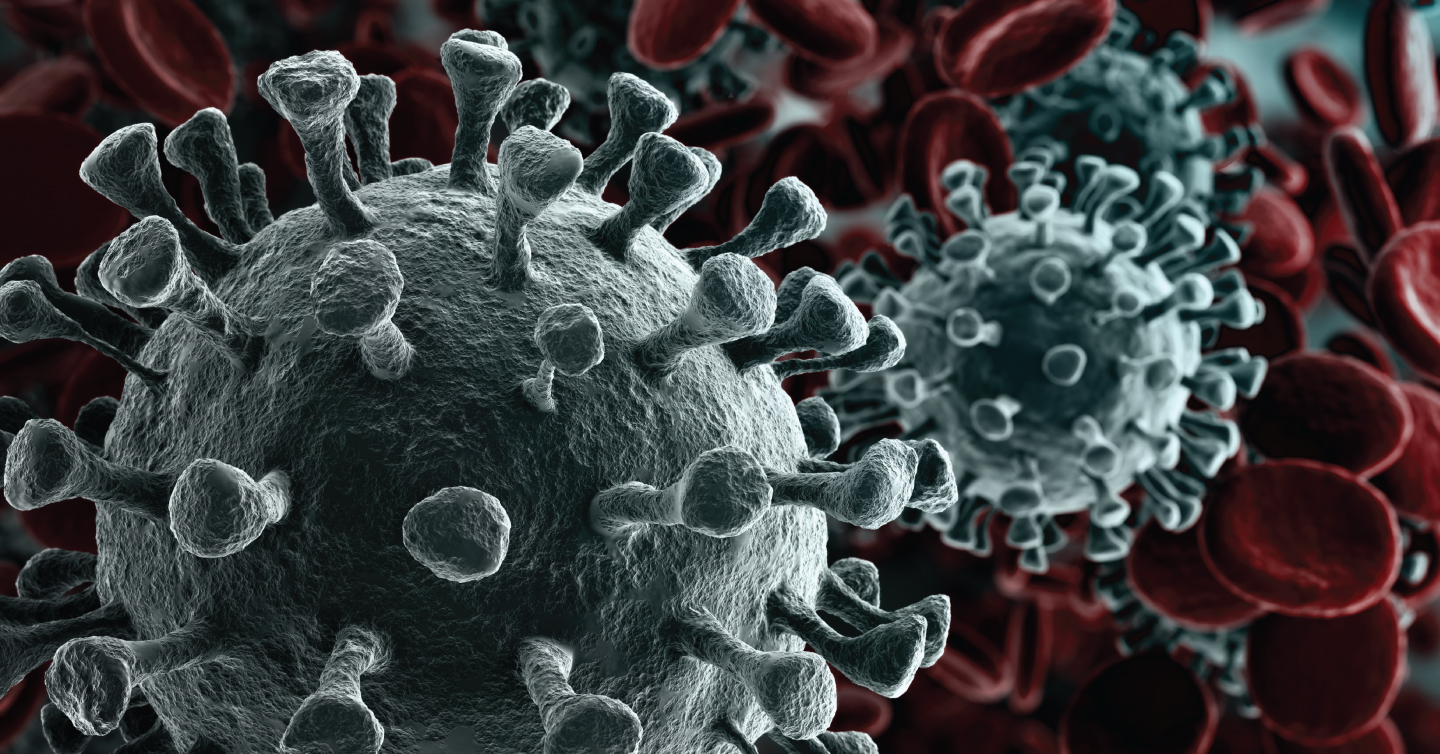 covid virus up close